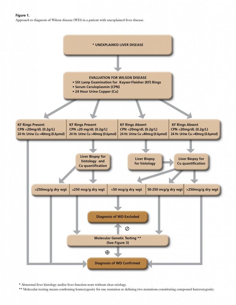 Diagnosis - Wilson Disease Association