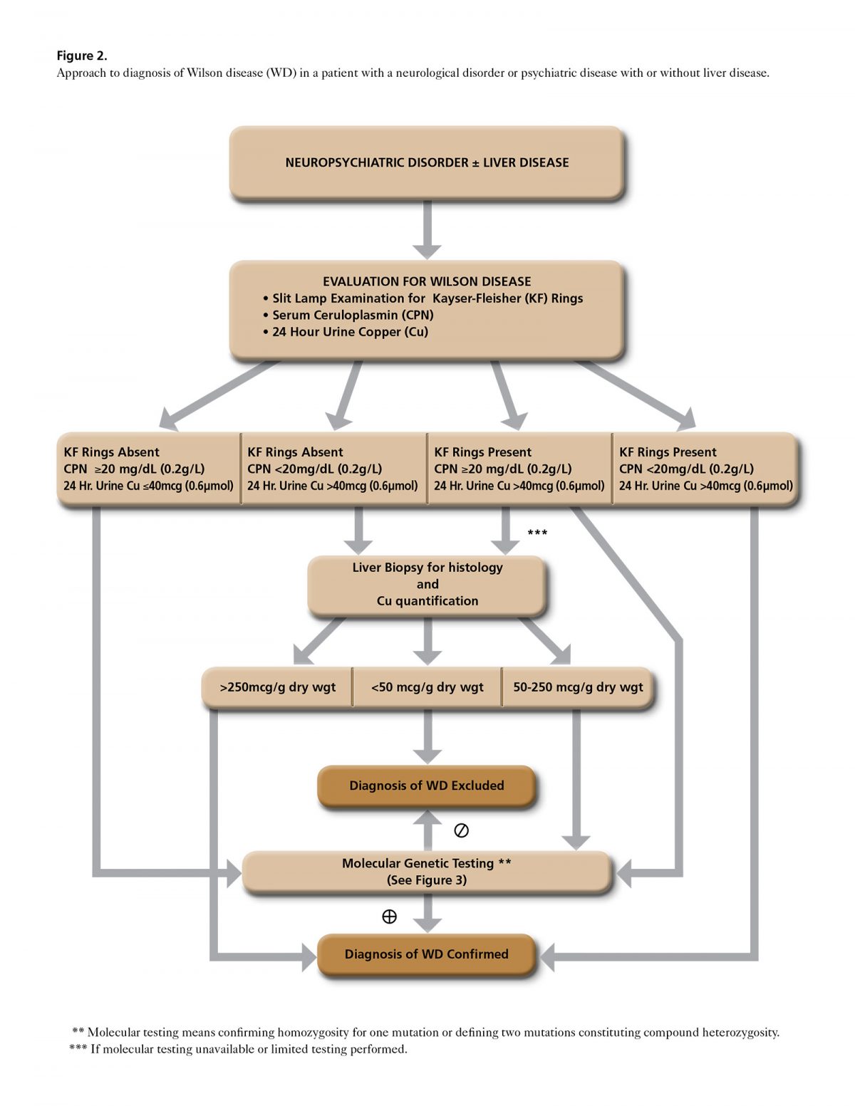 Diagnosis - Wilson Disease Association