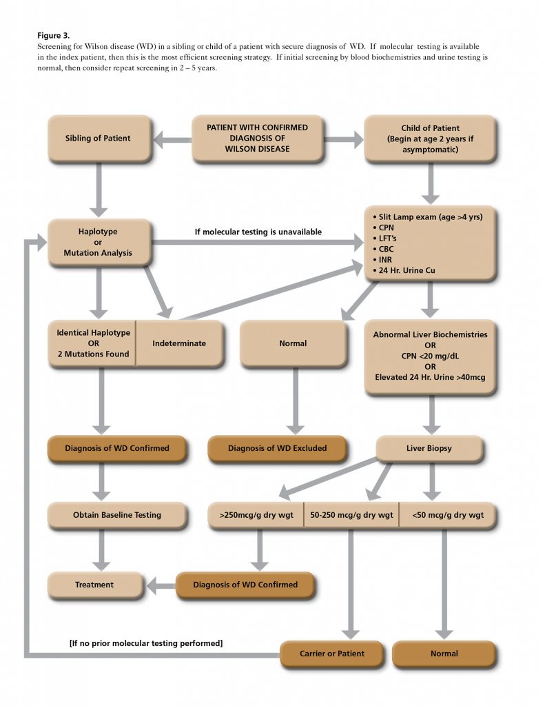 Diagnosis - Wilson Disease Association